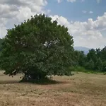 Modern In Umbria With Garden * Pietrafitta