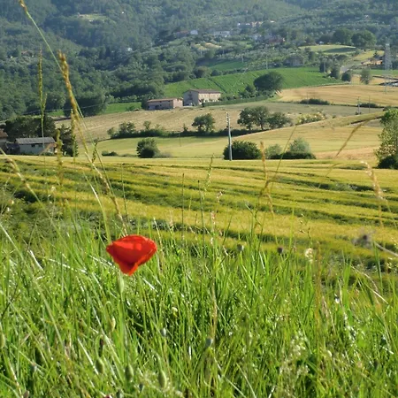 Holiday home Modern Holiday Home In Pietrafitta Umbria With Garden *