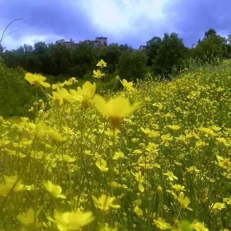 Modern In Umbria With Garden