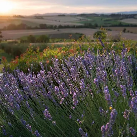 Modern Holiday Home In Pietrafitta Umbria With Garden Holiday home Pietrafitta (Perugia)