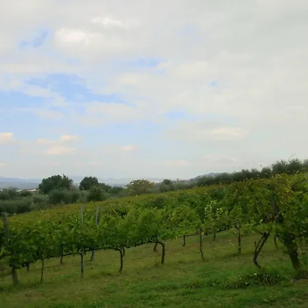 Modern Holiday Home In Pietrafitta Umbria With Garden Holiday home