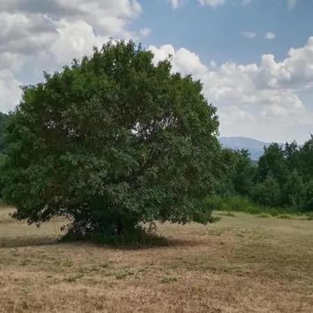Modern In Umbria With Garden *