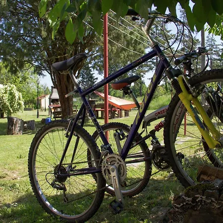 Modern In Umbria With Garden Casa vacanze